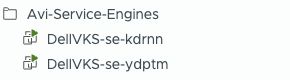 The two Avi service-engine VMs in the vCenter inventory.